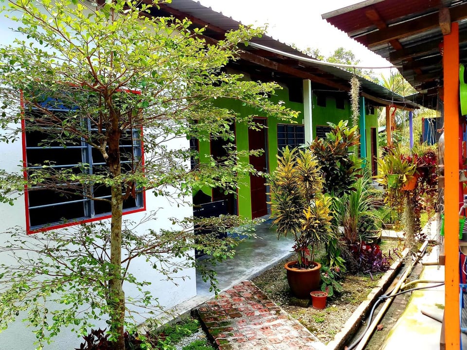 Property building, Garden view