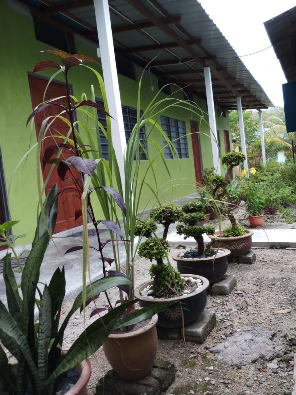 Property building, Garden
