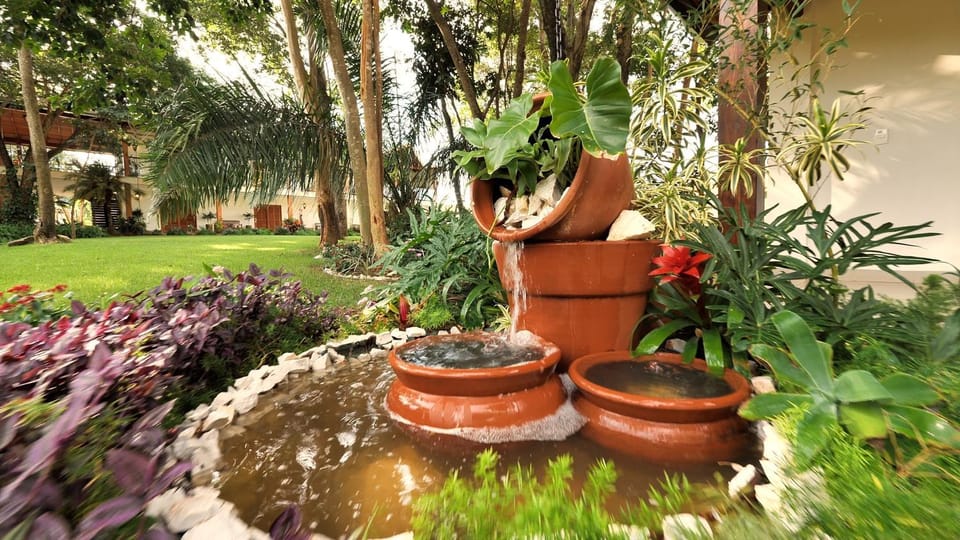Patio, Garden
