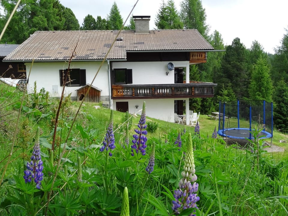 Property building, Summer