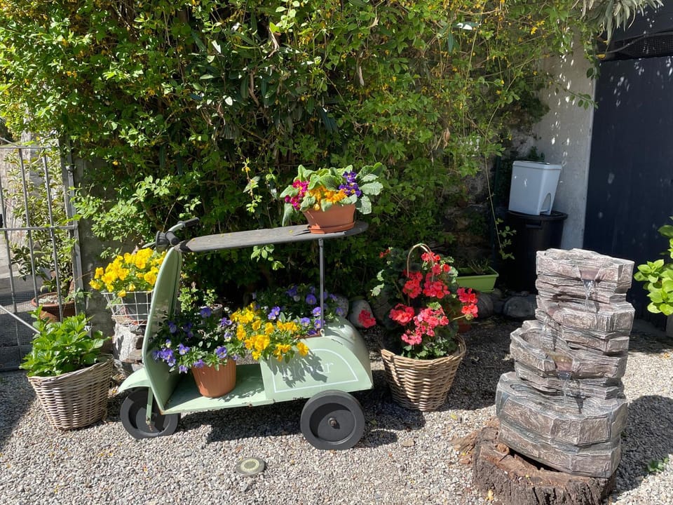 Garden, Seasons
