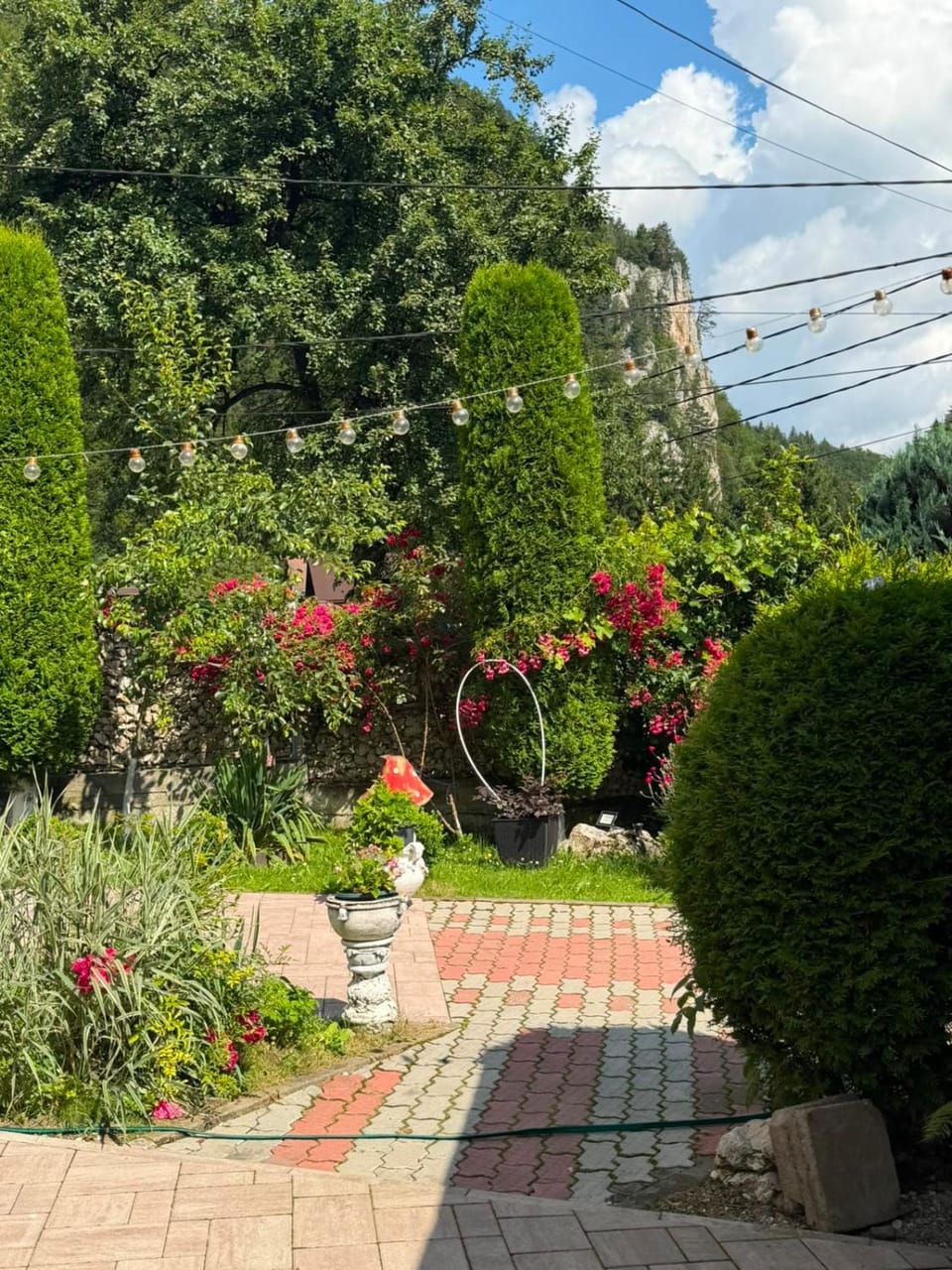 Pensiunea Ianis Moieciu Bed and Breakfast in Brașov County