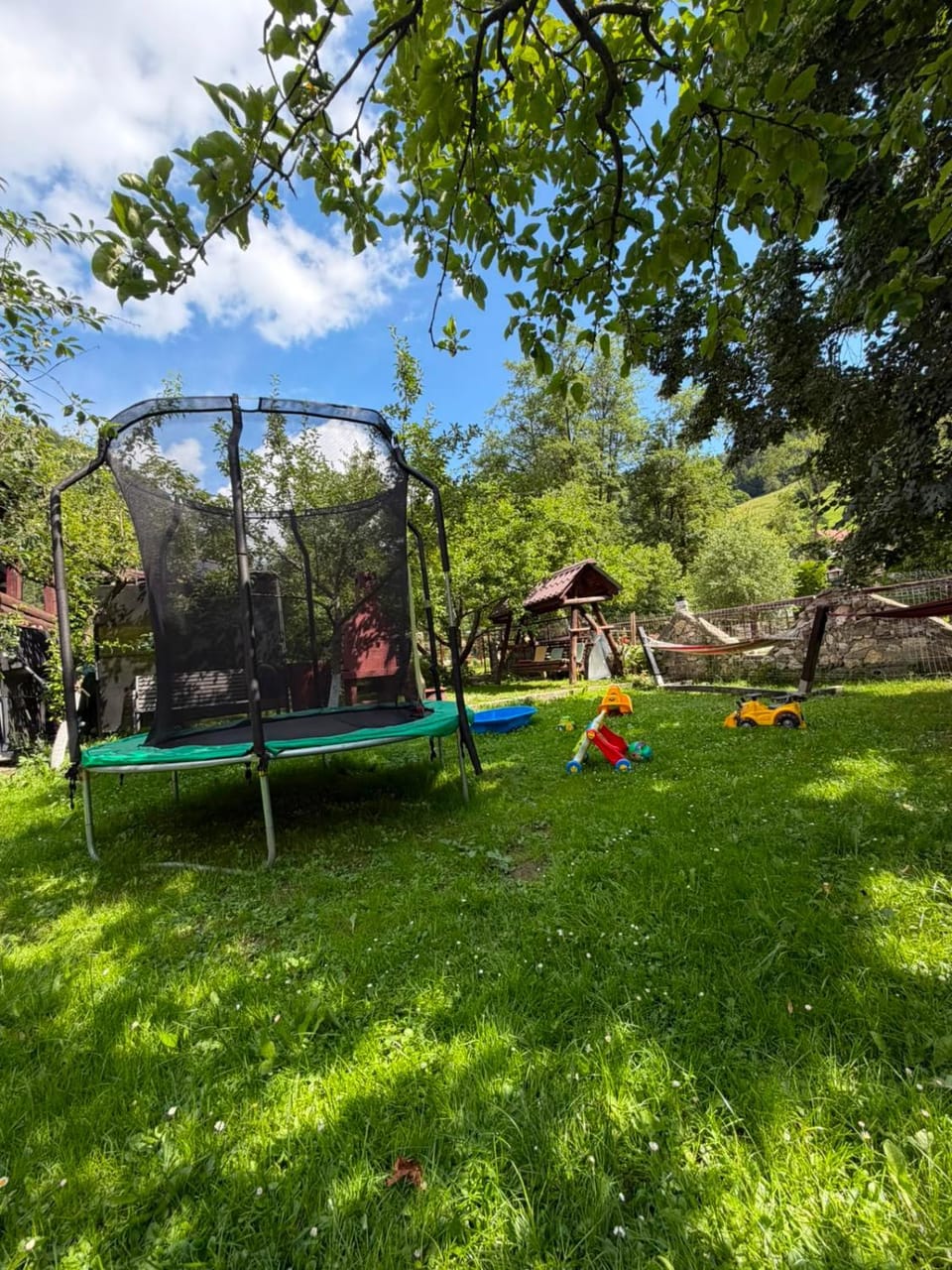 Pensiunea Ianis Moieciu Bed and Breakfast in Brașov County
