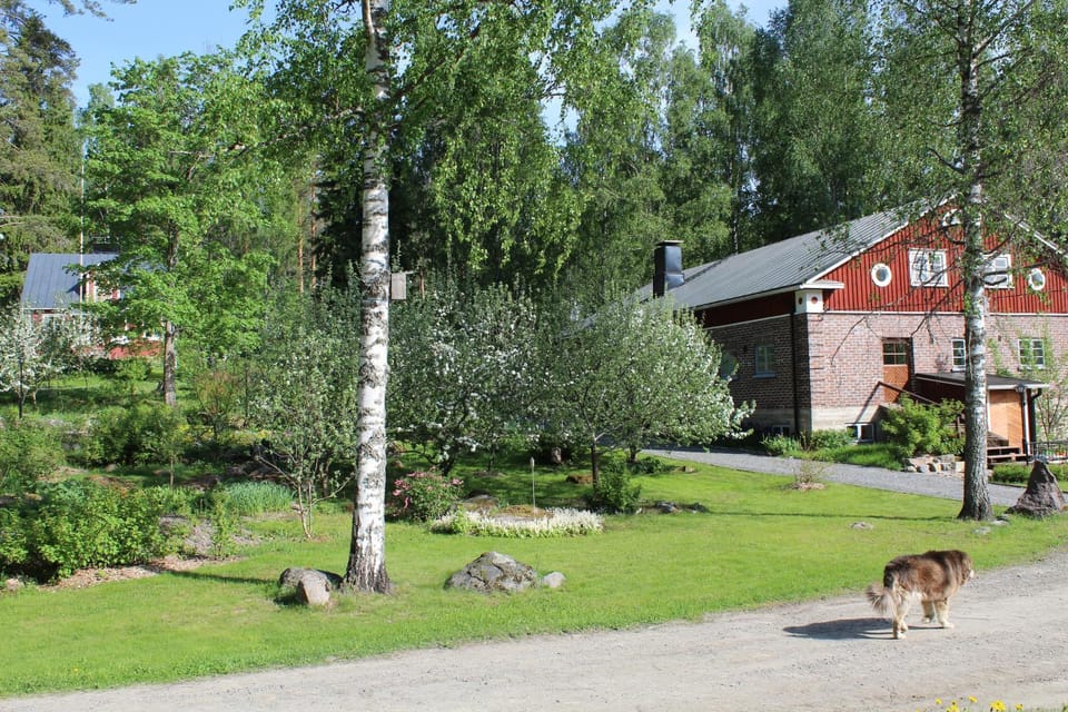 Property building, Day, Garden, Pets, Garden view