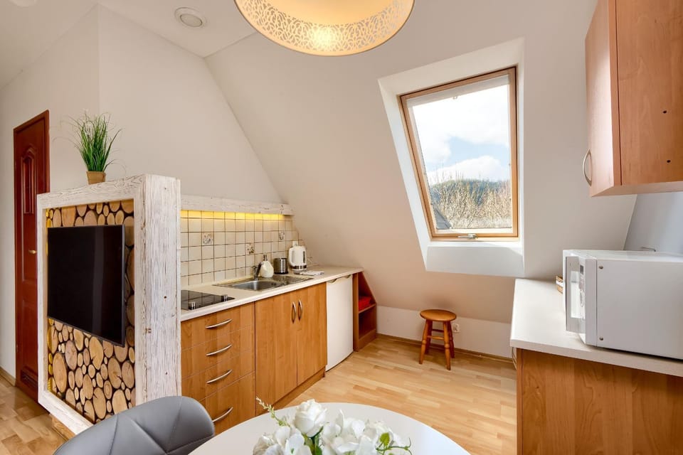 Kitchen or kitchenette, microwave