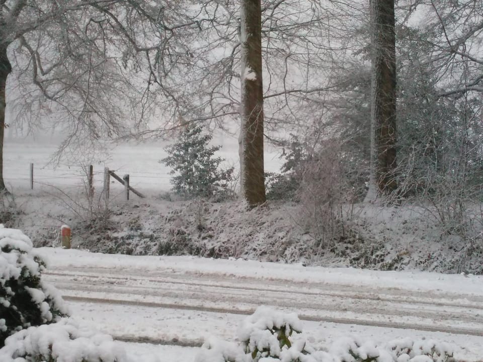 Anna's B&B Rijssen Bed and Breakfast in Overijssel (province)