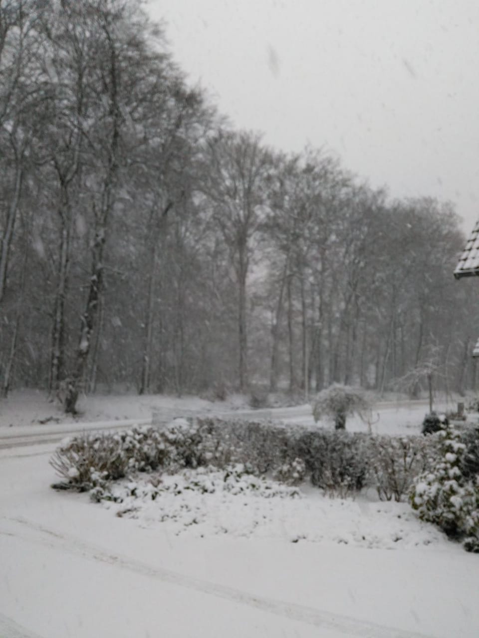 Anna's B&B Rijssen Bed and Breakfast in Overijssel (province)