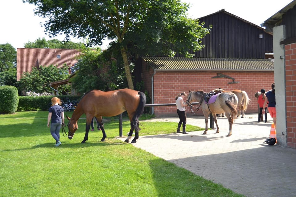 Horse-riding