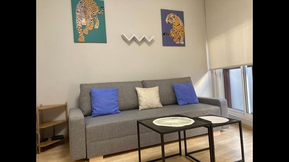 Hs Rincón de Sito 6 Suite Center Parking Gratis Apartment in Salamanca