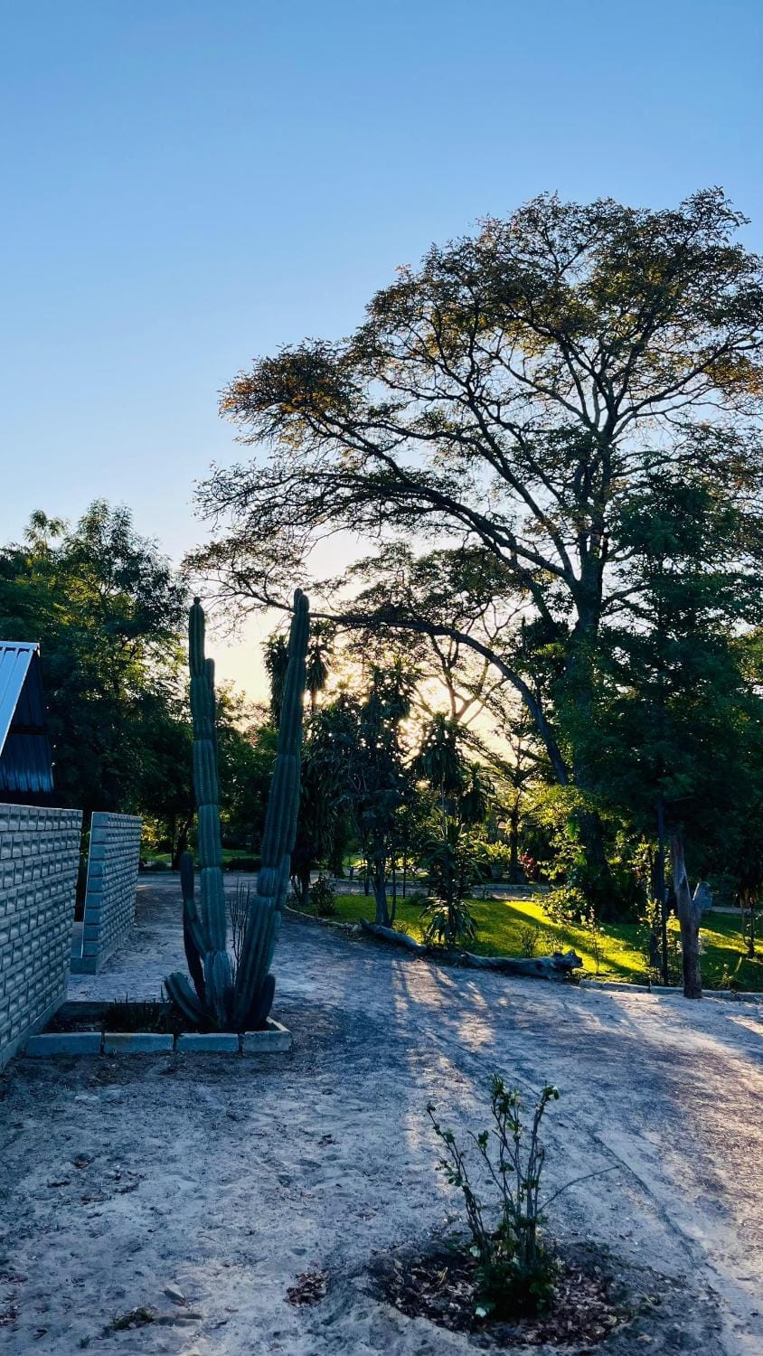 Happy Forest B&B Bed and Breakfast in Namibia
