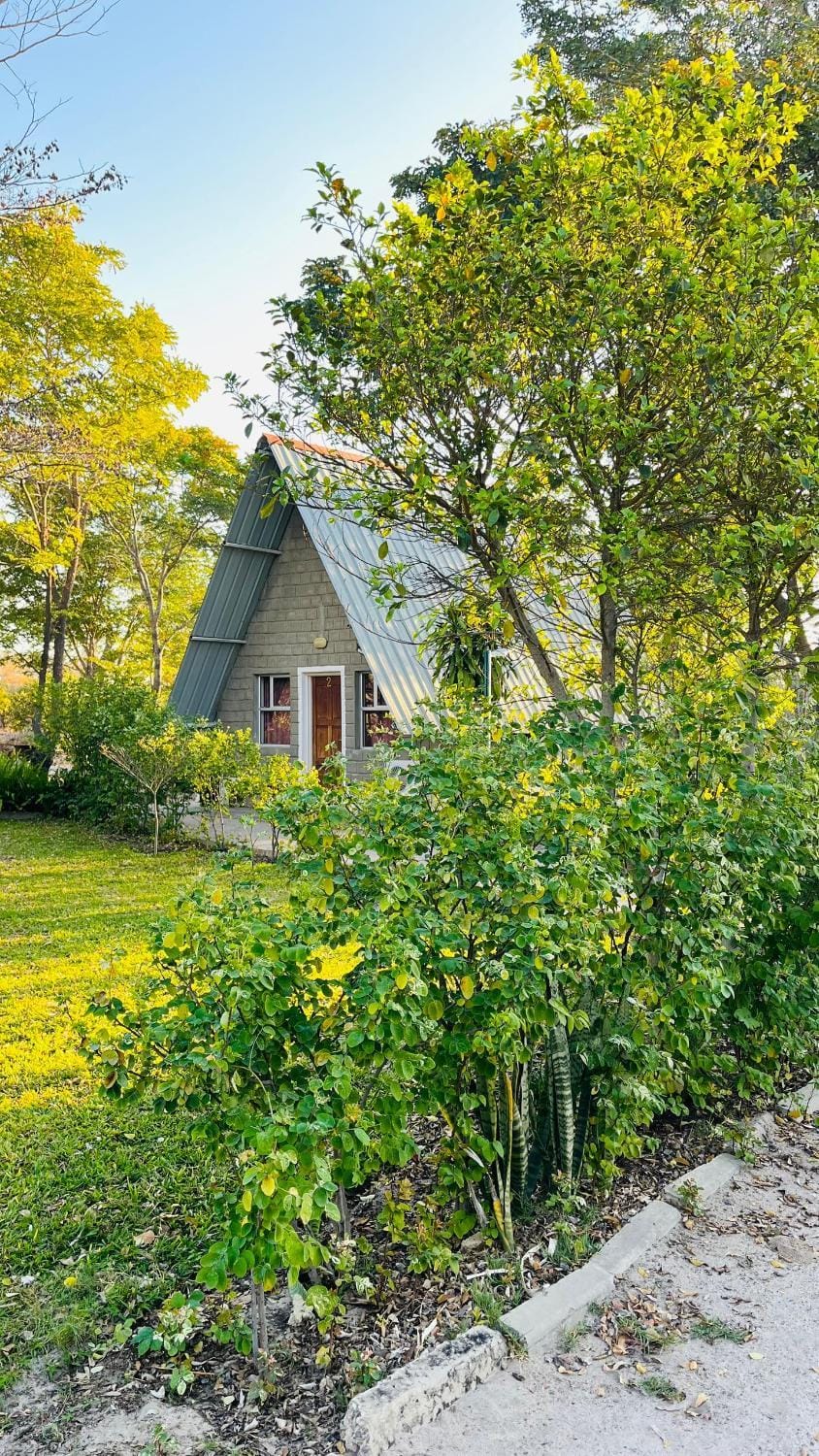 Happy Forest B&B Bed and Breakfast in Namibia