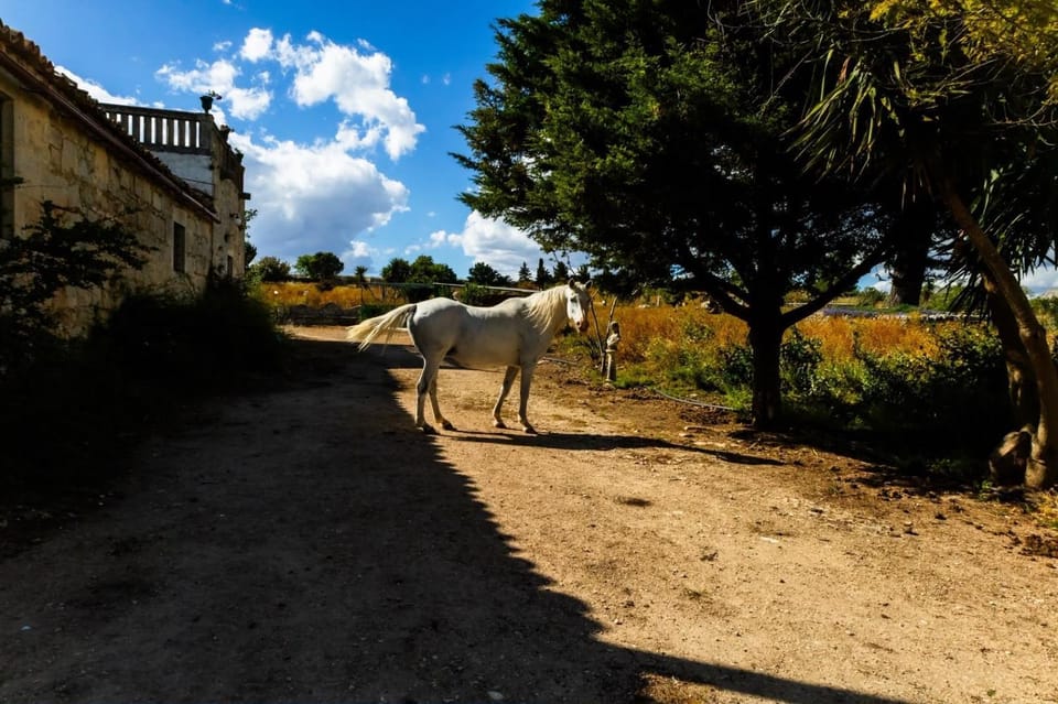 Villa Castiglione 1863 - The real Sicilian holiday Villa in Sicily