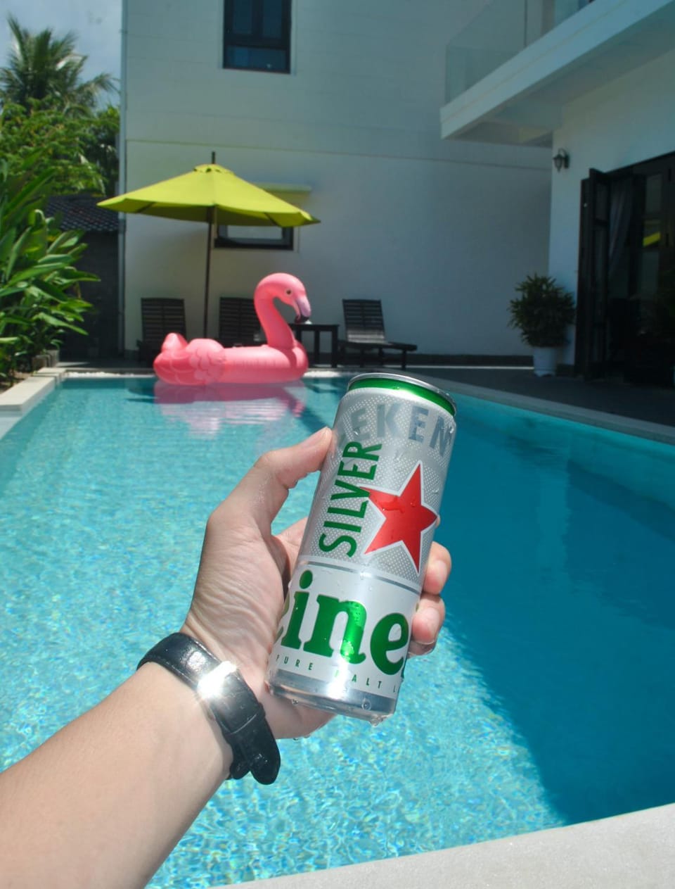 Pool view, Swimming pool, sunbed