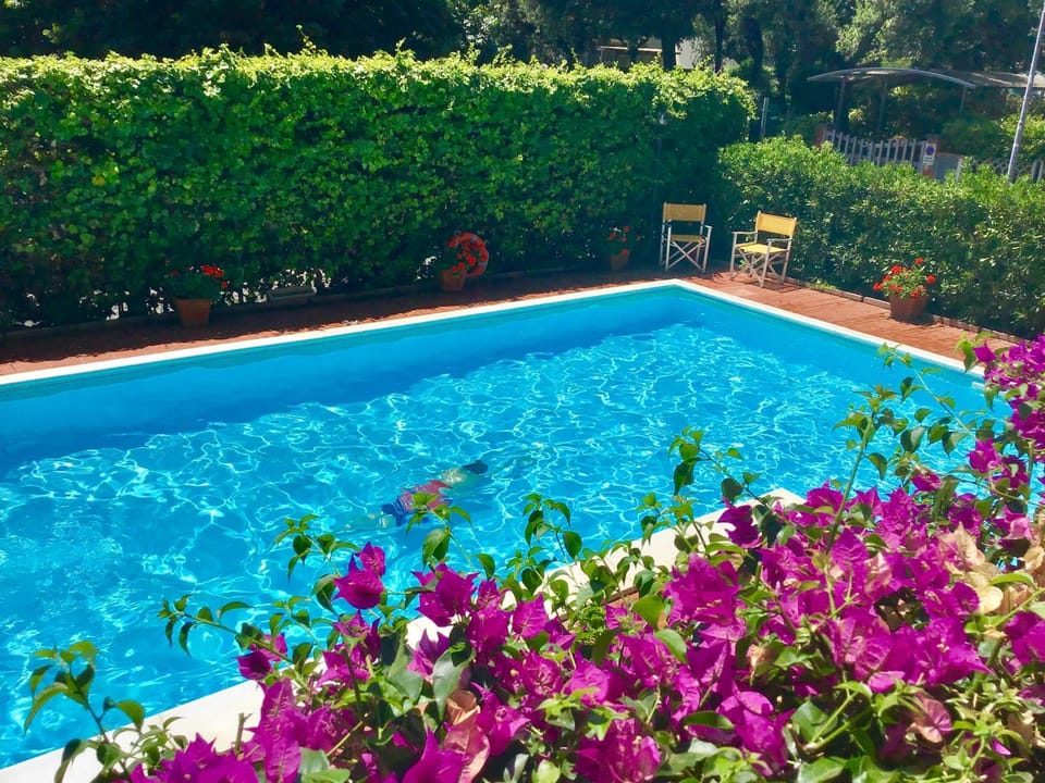 Pool view