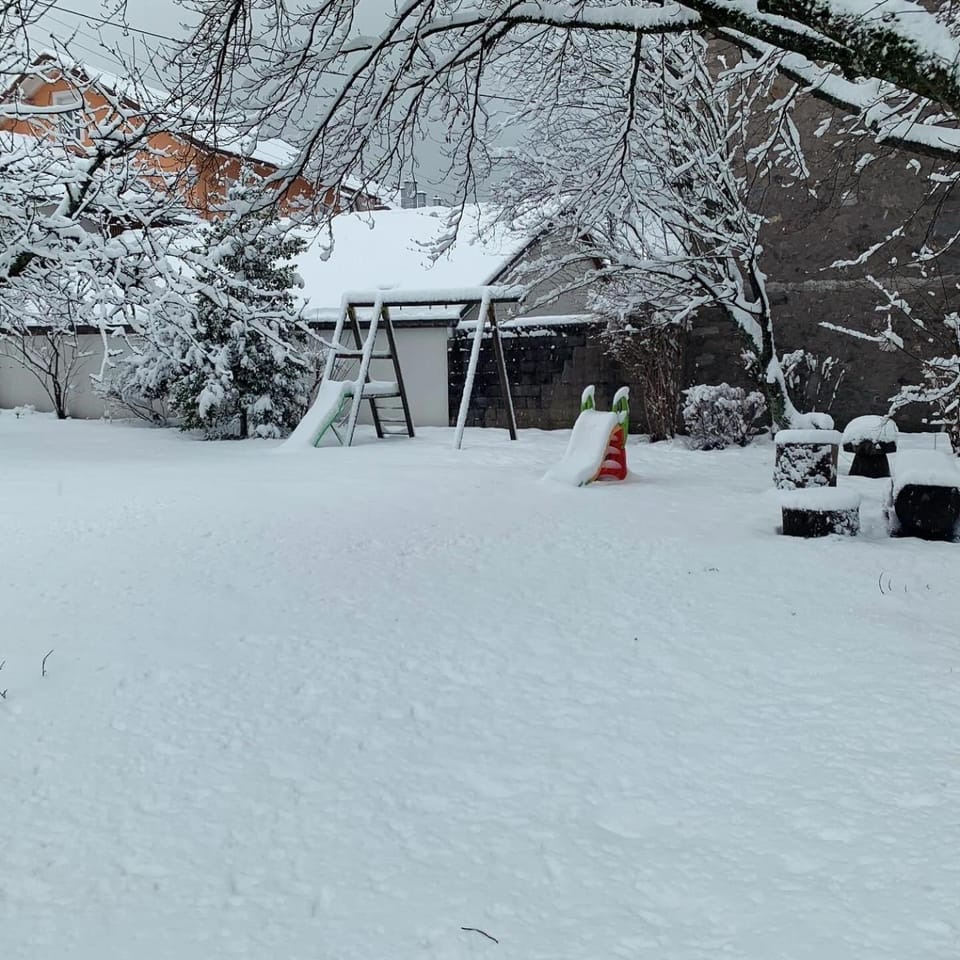 Day, Winter, Garden