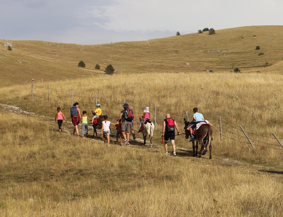 Activities, Hiking, Entertainment