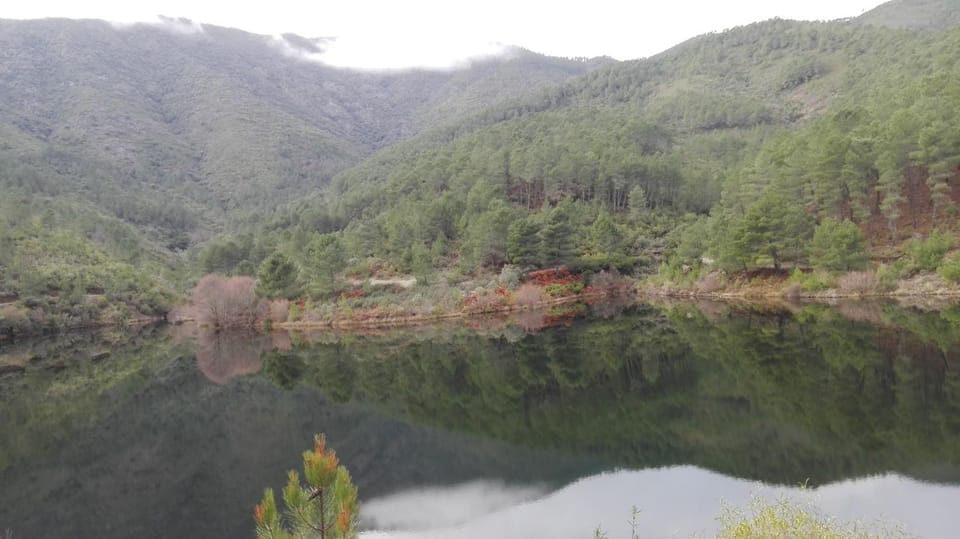 Natural landscape