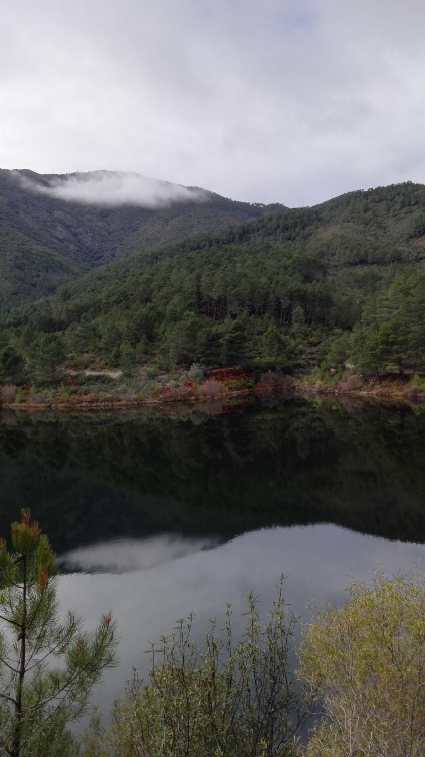 Natural landscape