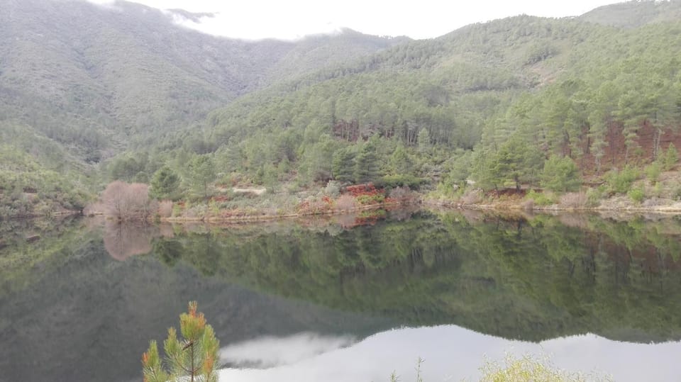 Natural landscape