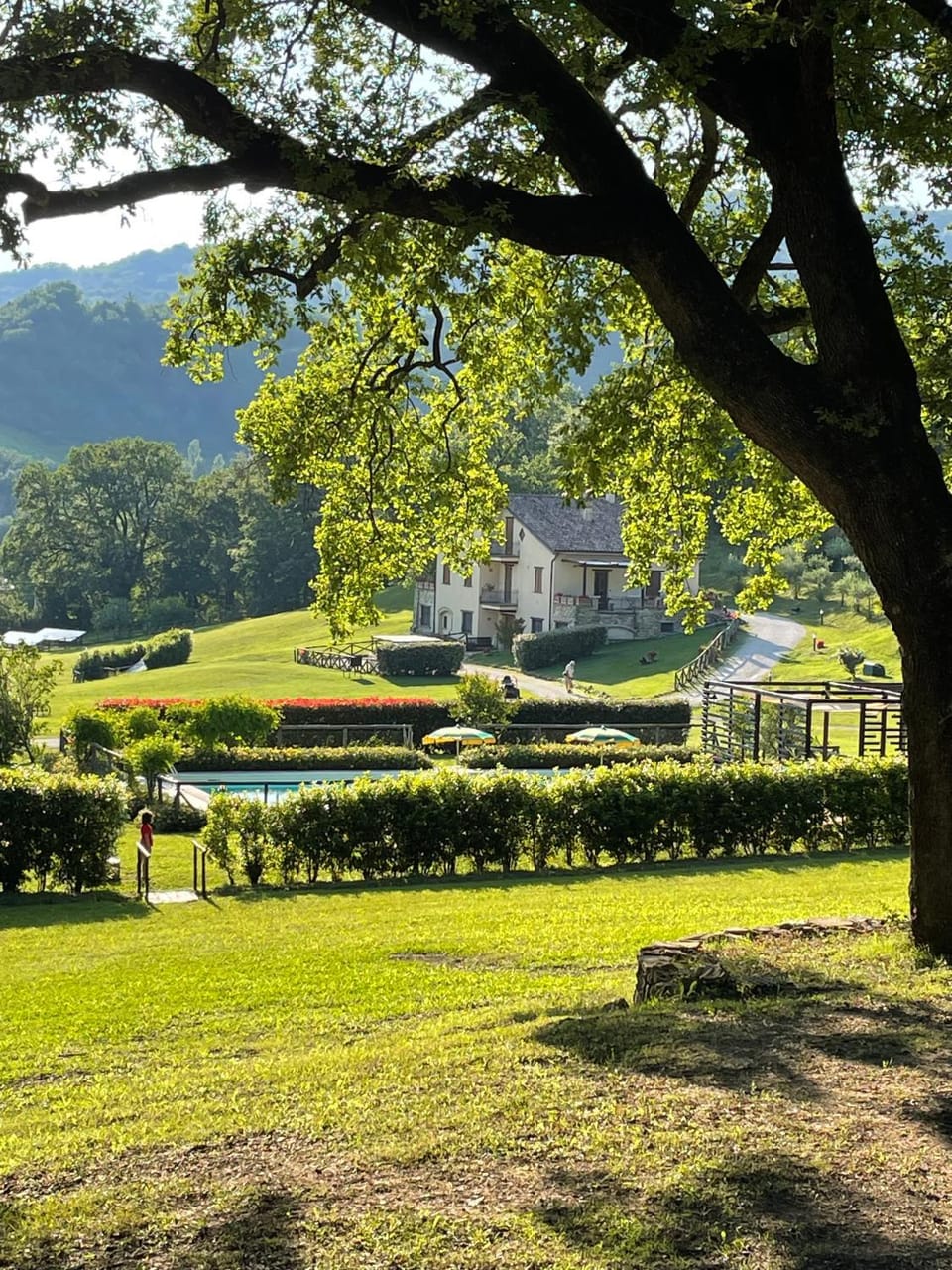 Garden, Swimming pool
