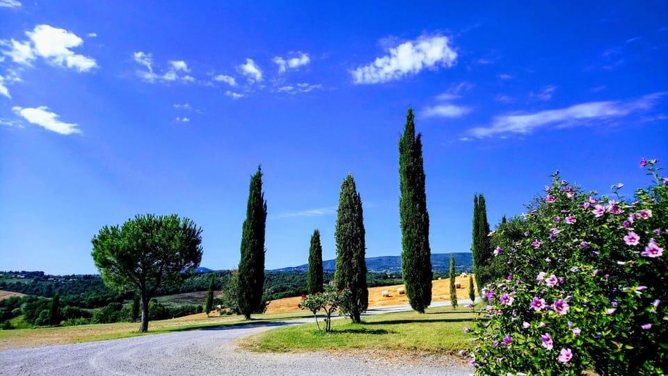 Day, Natural landscape, Summer, Garden, On site, Garden view, Mountain view, Street view, Quiet street view