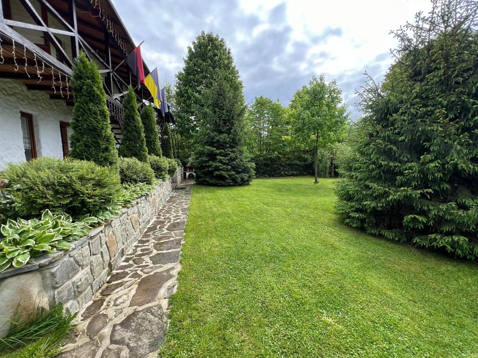 Natural landscape, Garden, Garden view