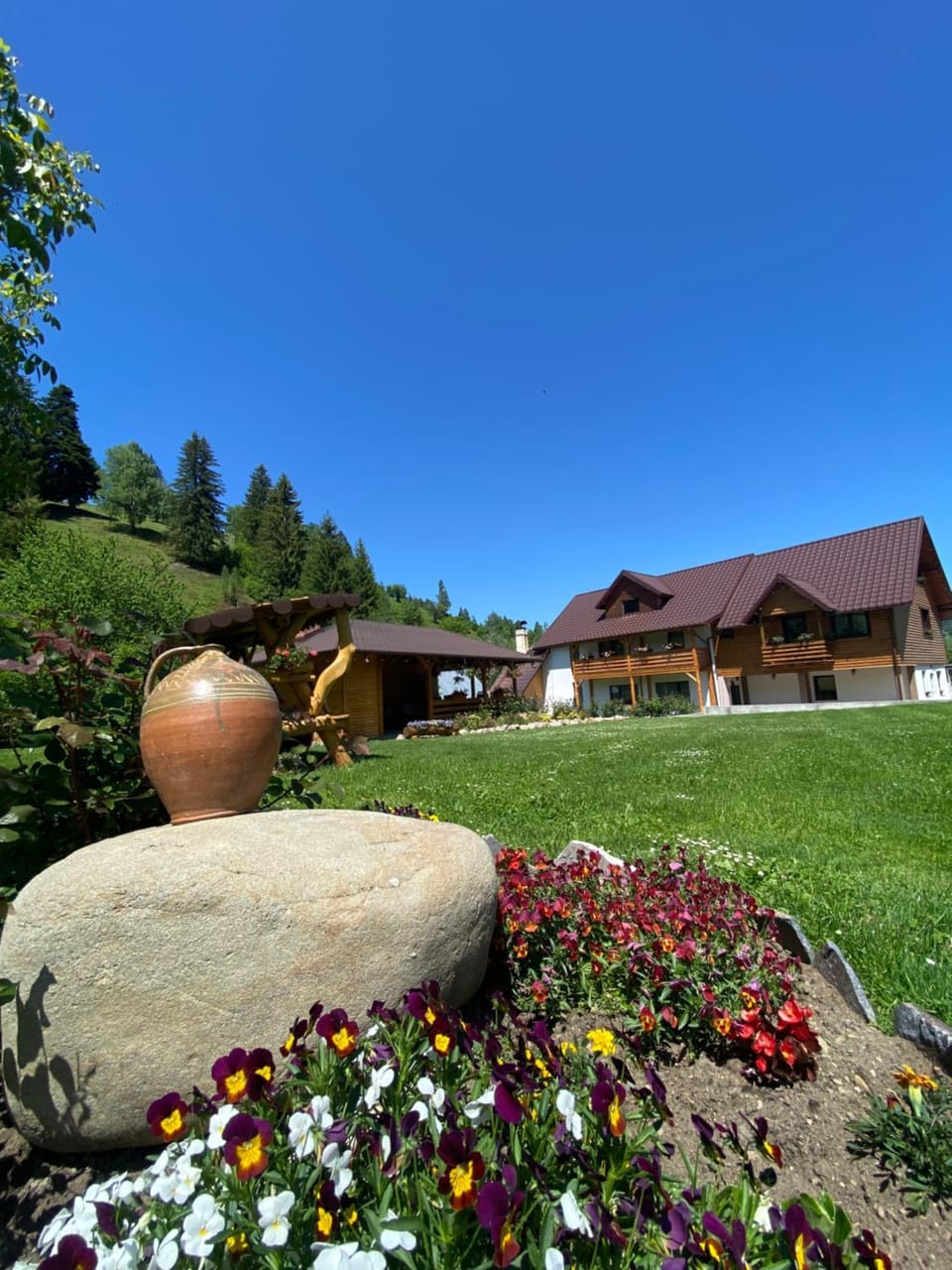 Pensiunea Casa Pancu Bed and Breakfast in Romania