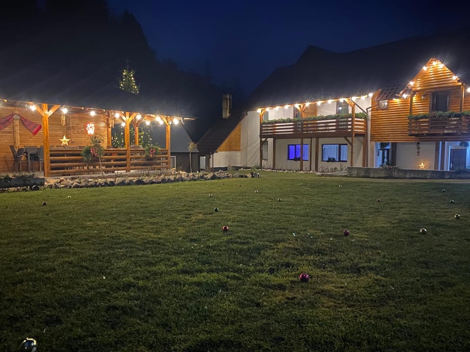 Pensiunea Casa Pancu Bed and Breakfast in Romania