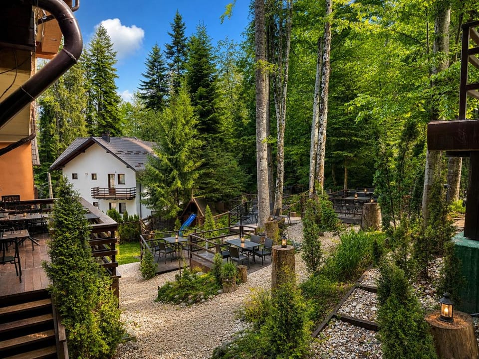 Property building, Spring, Natural landscape, Garden, Garden view