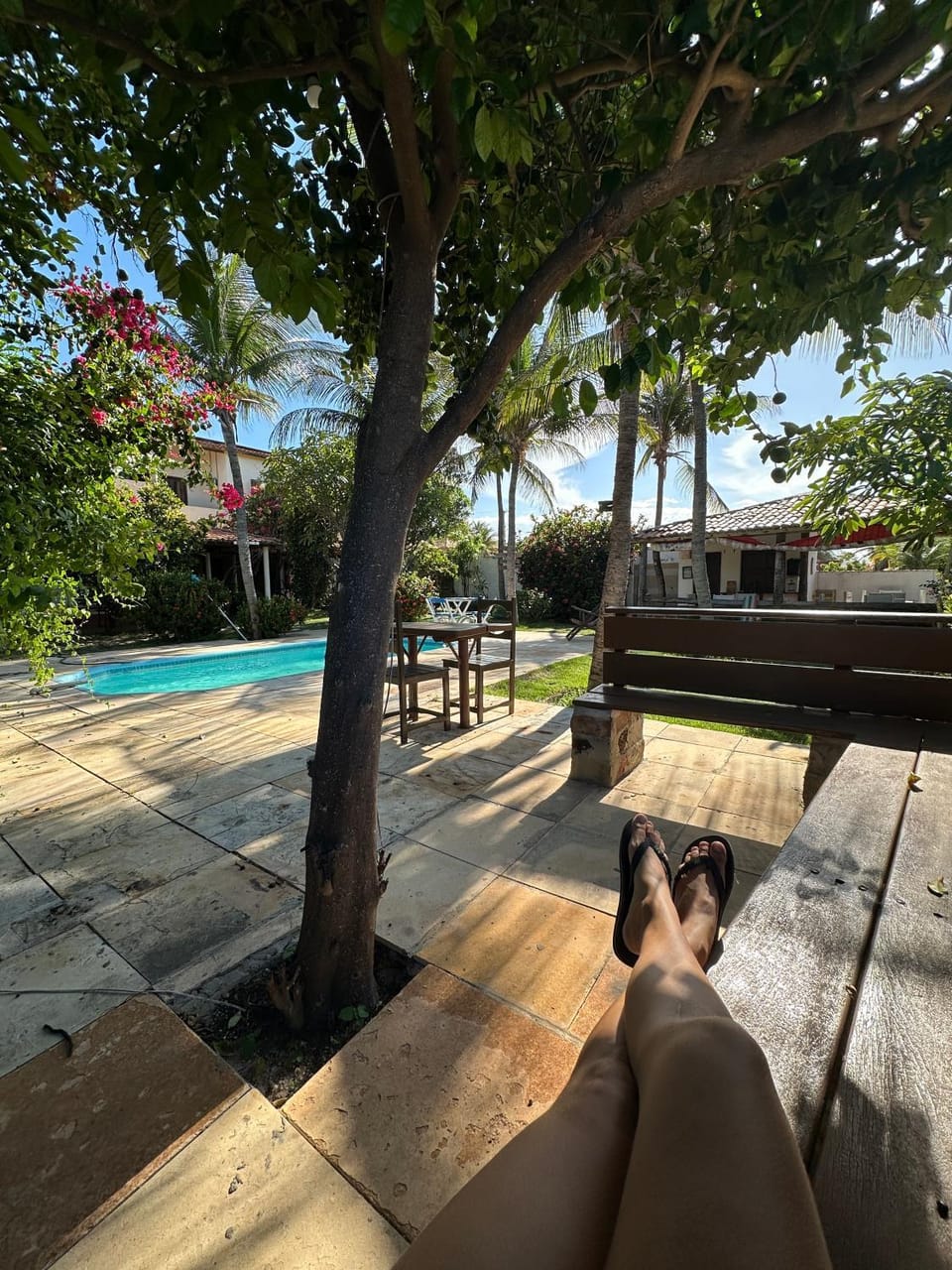 Day, Natural landscape, Garden view, Swimming pool