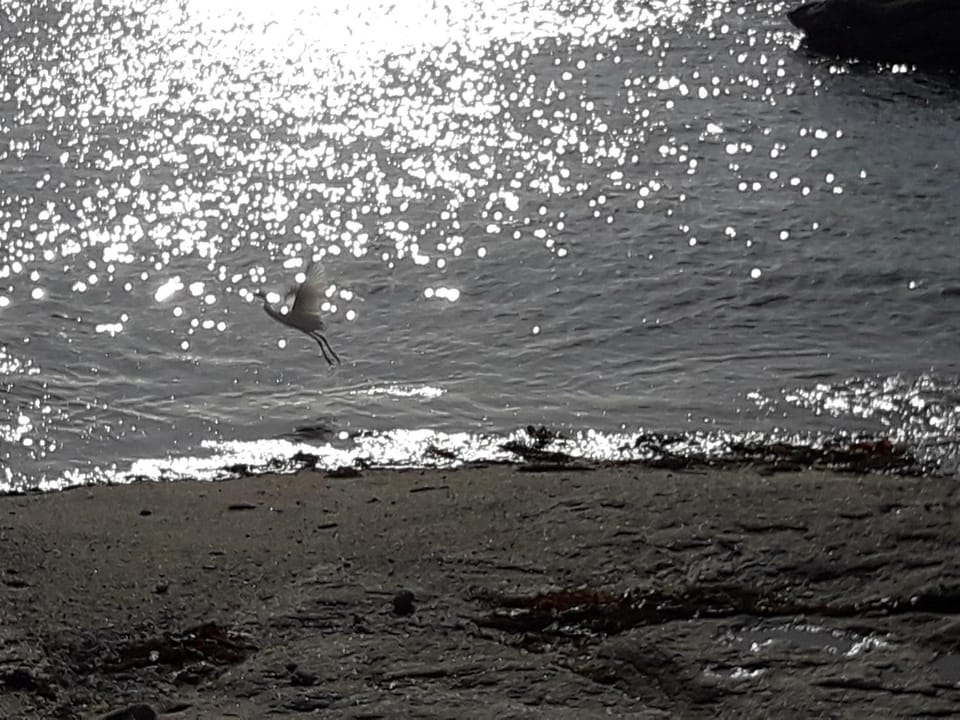 appartement proche de la mer Apartment in Finistere