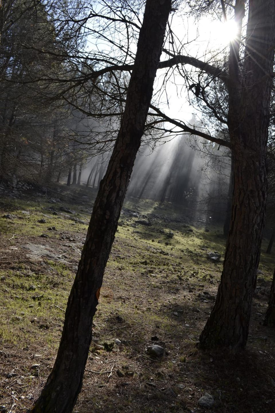 Hiking