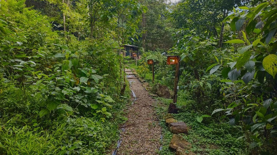 View (from property/room), Spa and wellness centre/facilities, Hiking, Landmark view, Inner courtyard view