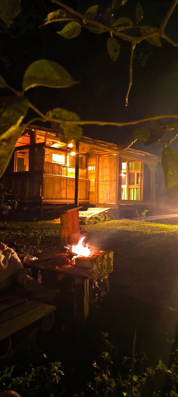 Night, BBQ facilities