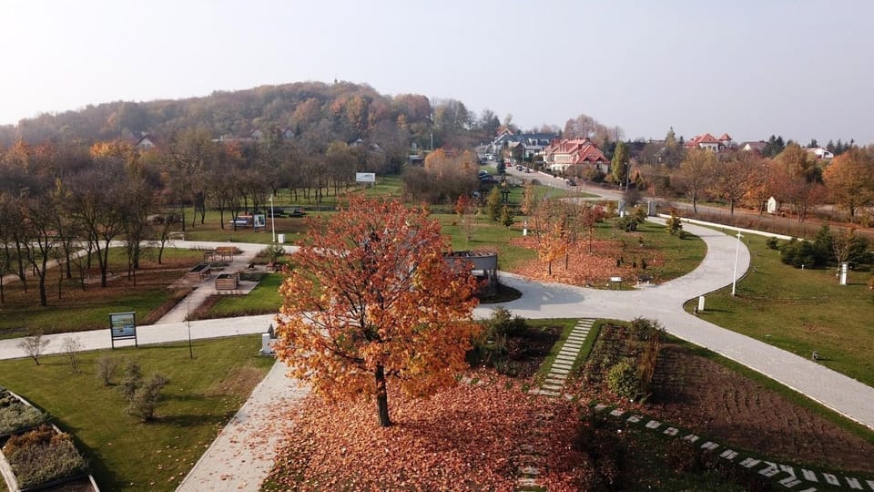 Nearby landmark, Off site, Bird's eye view, Autumn, On site, Garden view