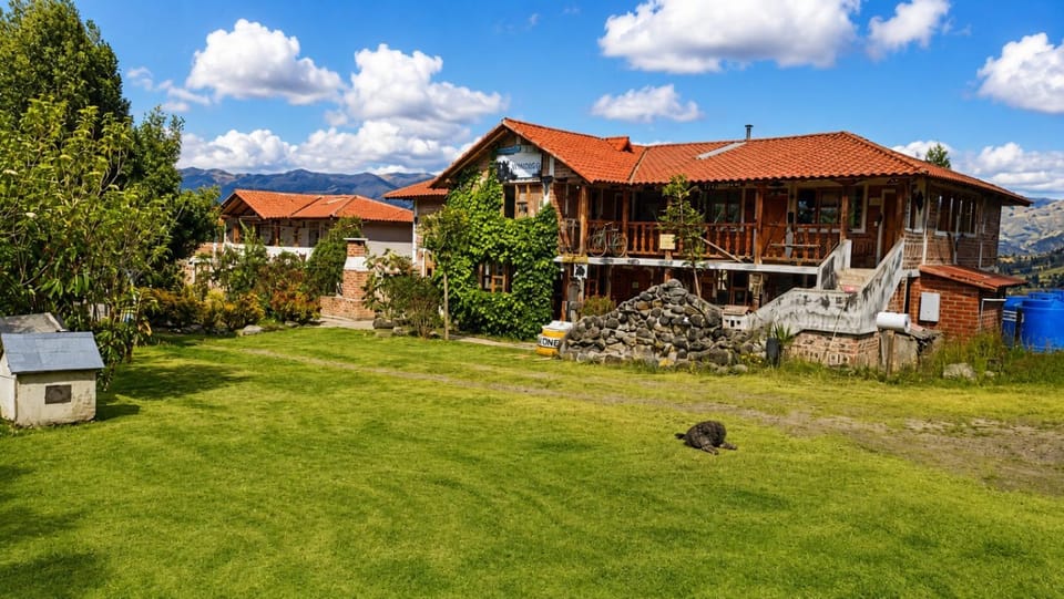 Garden, Pets