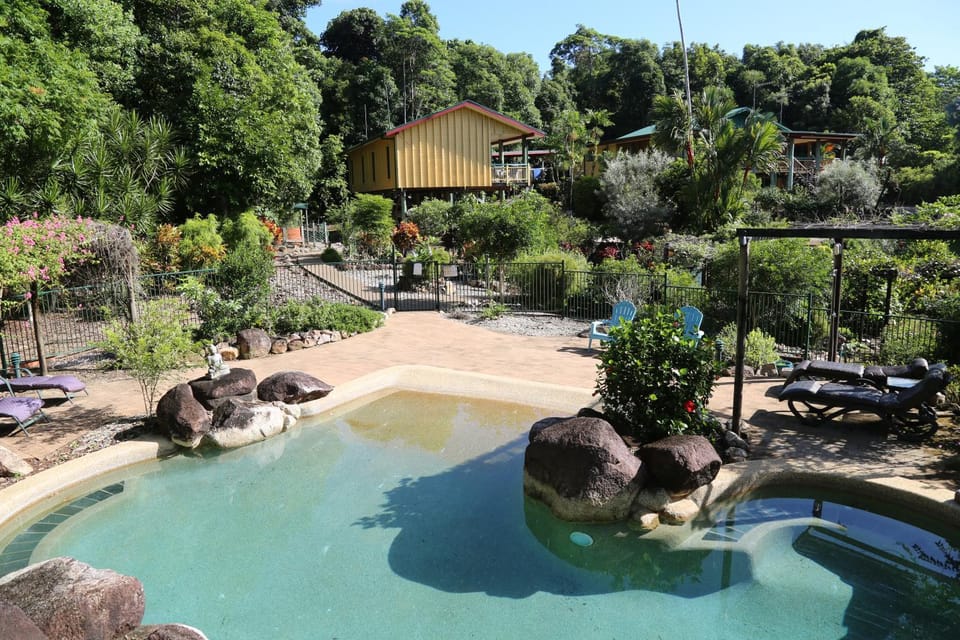 Swimming pool, Swimming pool