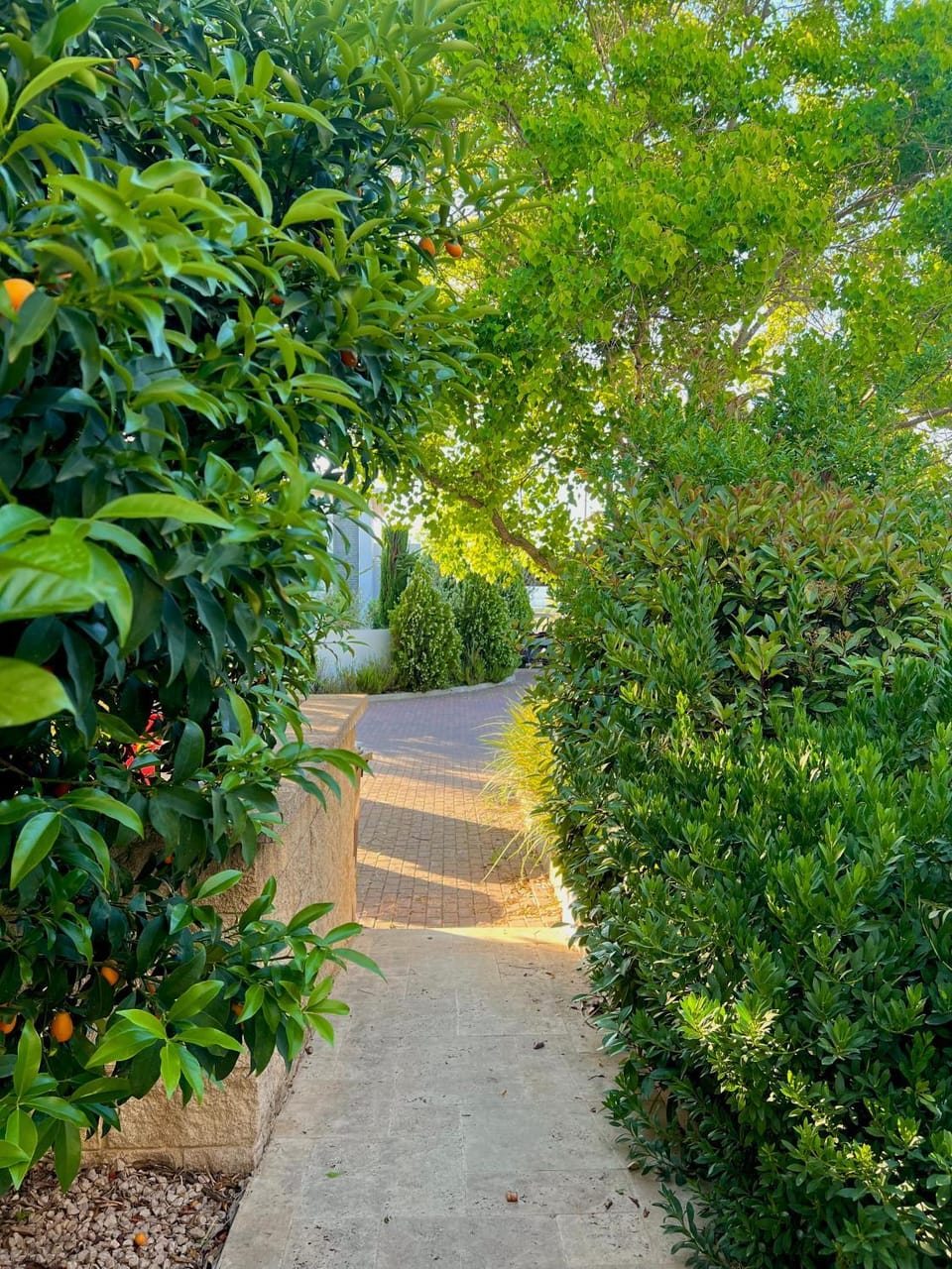 Garden, Garden view
