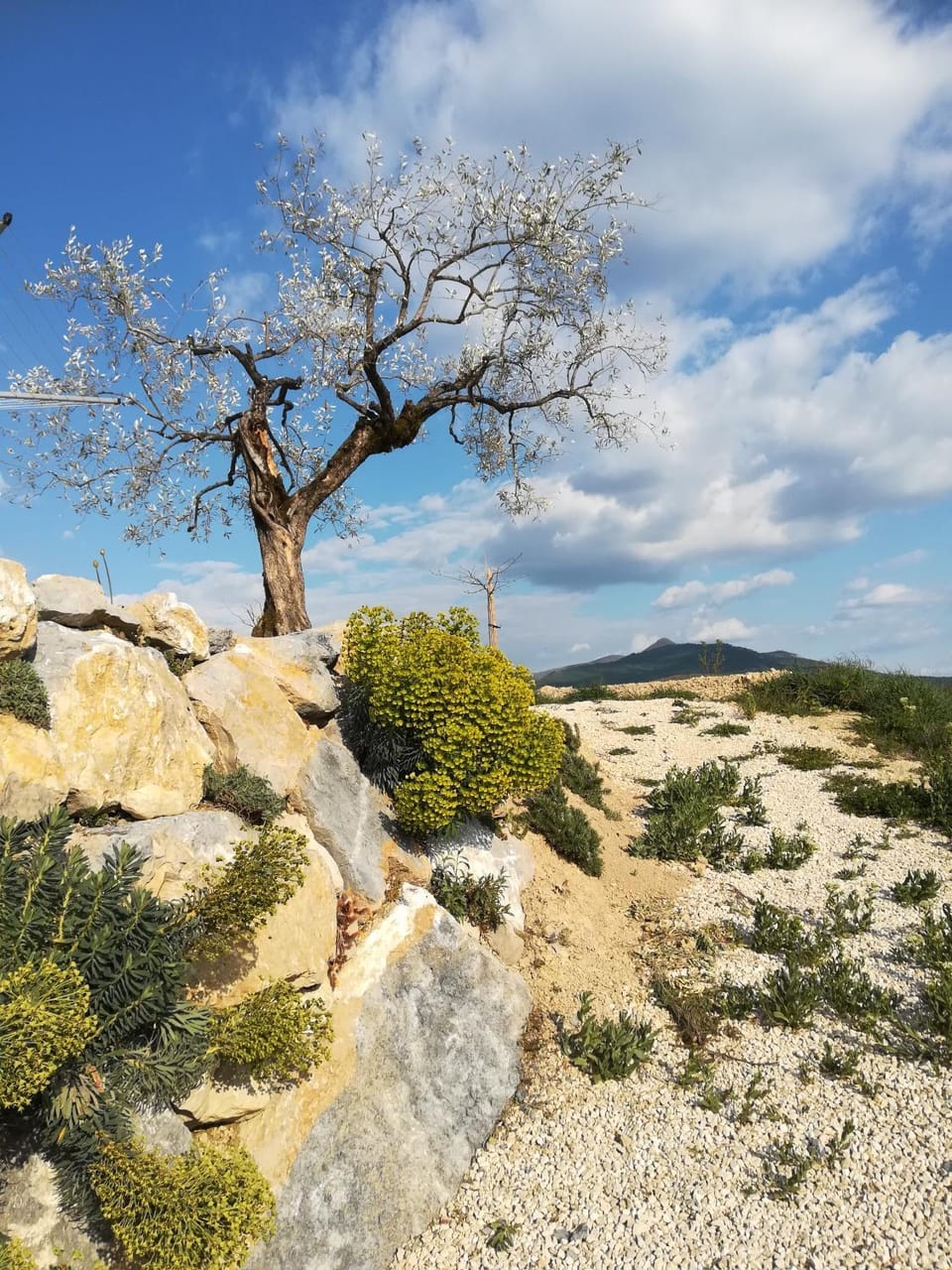 Pie des Ayrolis House in Provence