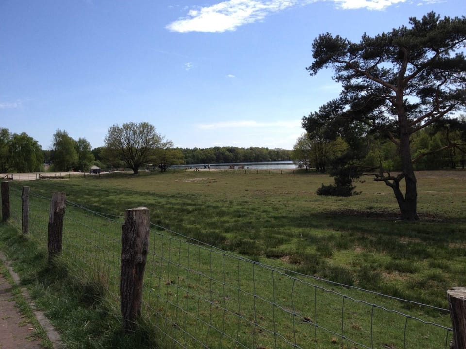 Natural landscape