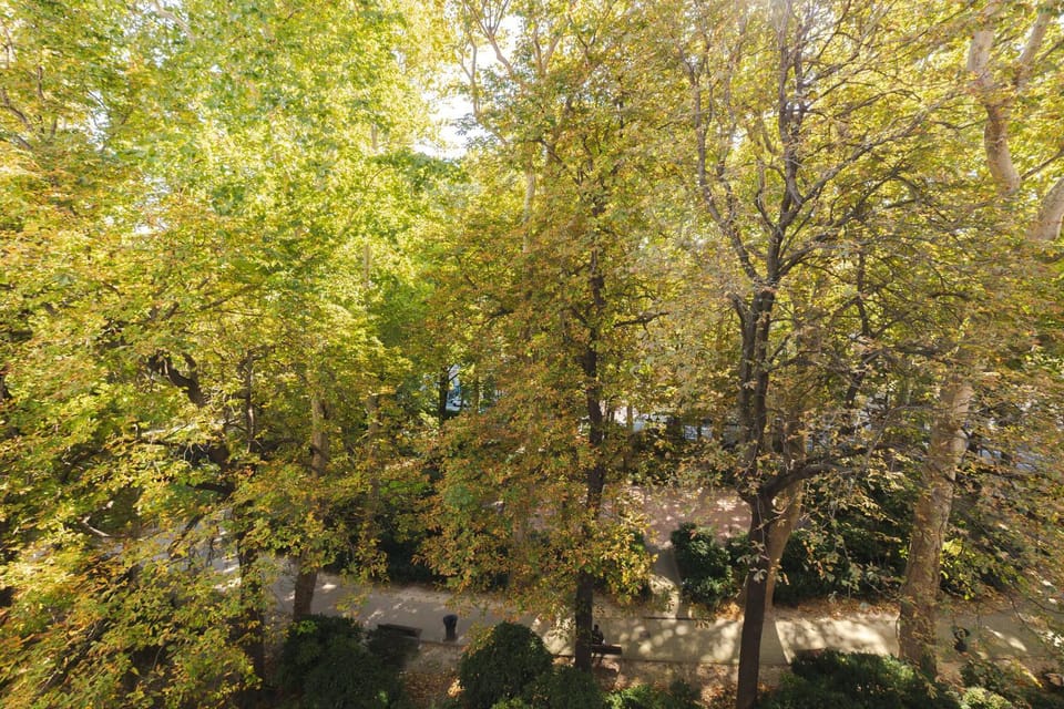Bird's eye view, View (from property/room), View (from property/room), Garden view