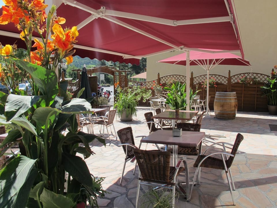 Patio, Summer, Garden, Balcony/Terrace, Lounge or bar
