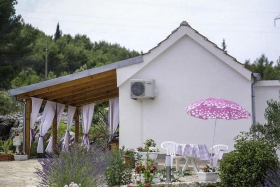 Patio, Garden, Garden view