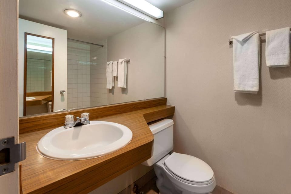 Bathroom, Photo of the whole room, On site