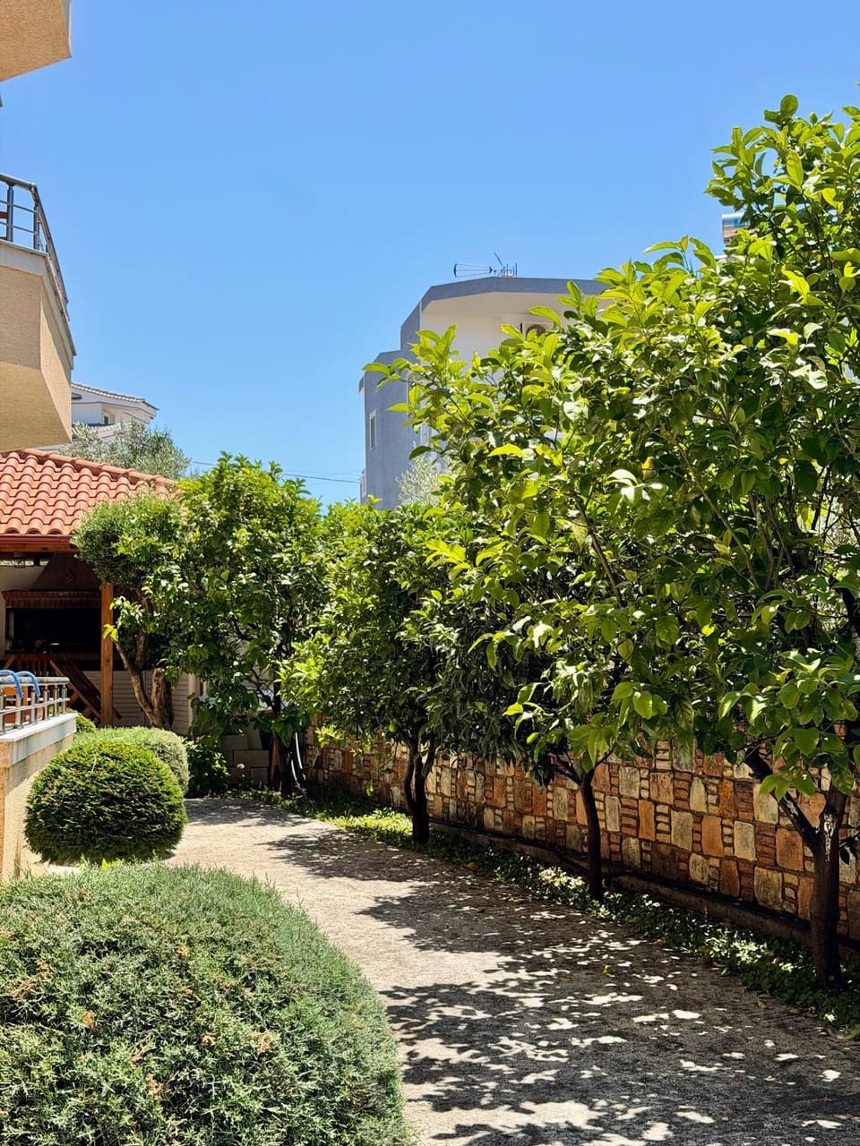 Day, Garden, Garden view