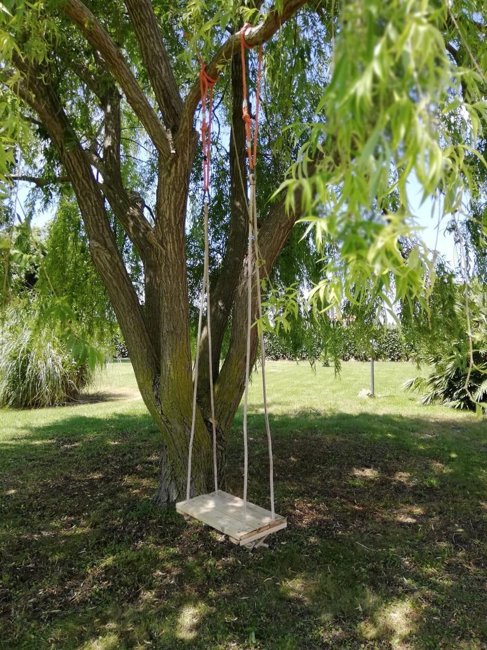 Garden, Other