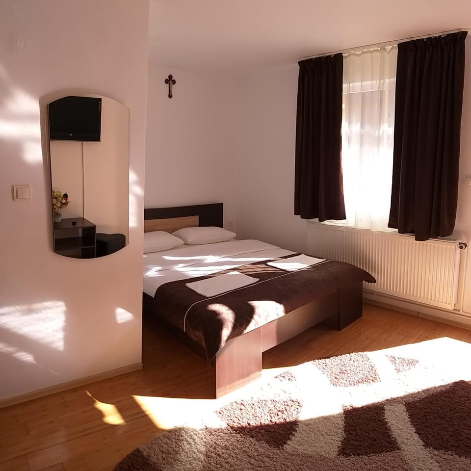 Pensiunea Denis Bed and Breakfast in Romania