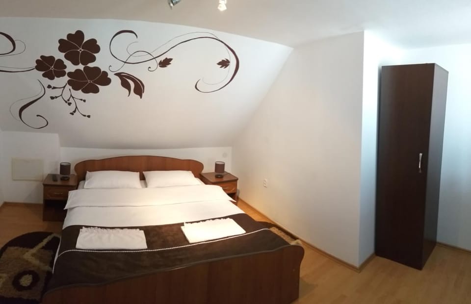 Pensiunea Denis Bed and Breakfast in Romania