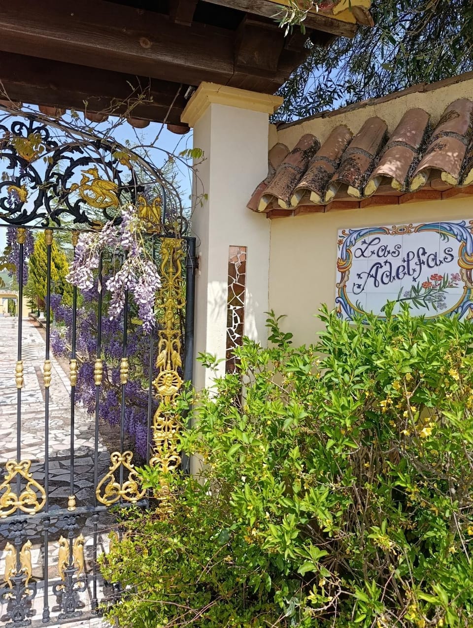 Andalusian experience Villa in Sierra de Cádiz