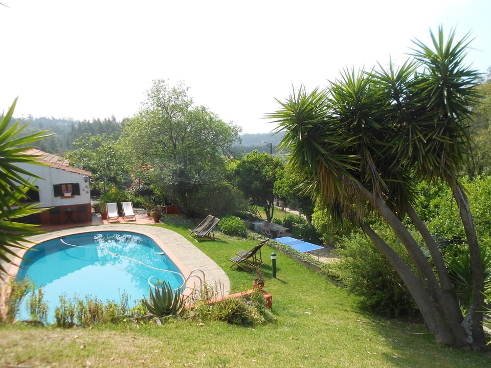 Swimming pool, Entertainment
